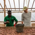 Cacao-Trace-Ivory-Coast-trip-(55)